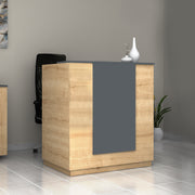 Gemini меленинов рецепционен бюфет в дъб - антрацитен цвят 100x70x110cm.