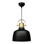 Artes E27 metallic ceiling lamp in black color Φ22x70cm.