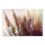 Картина "Soft Pampas" върху платно дигитален печат 90x60x3cm.