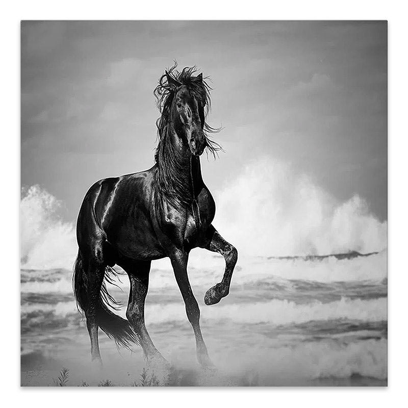 Картина "Black Horse" върху платно дигитален печат 60x60x3cm.