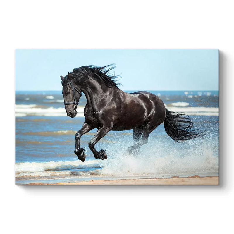 Картина "Black Horse" дигитален печат върху платно 100x70x3cm.