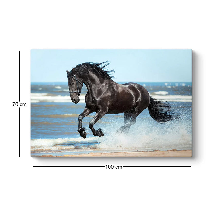 Картина "Black Horse" дигитален печат върху платно 100x70x3cm.