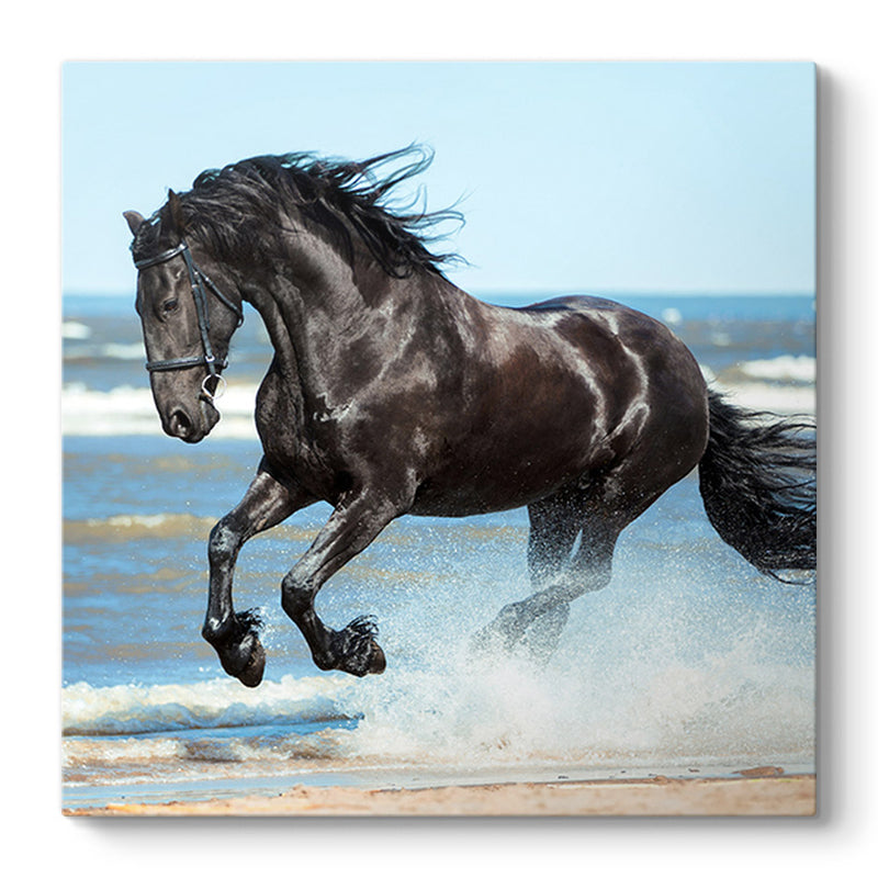 Картина "Black Horse" дигитален печат върху платно 60x60x3cm.