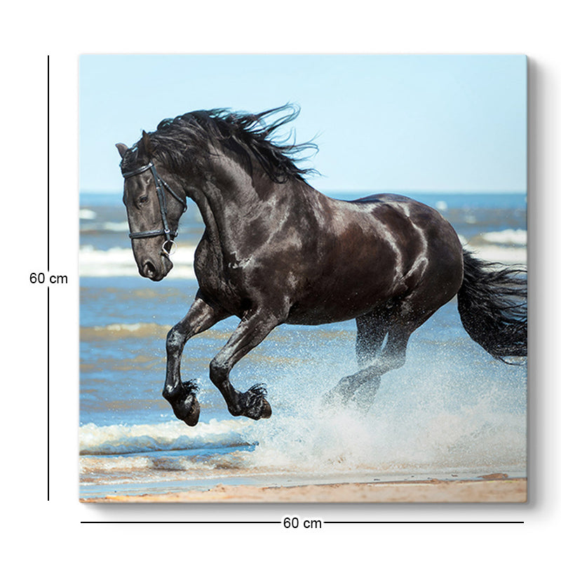 Картина "Black Horse" дигитален печат върху платно 60x60x3cm.