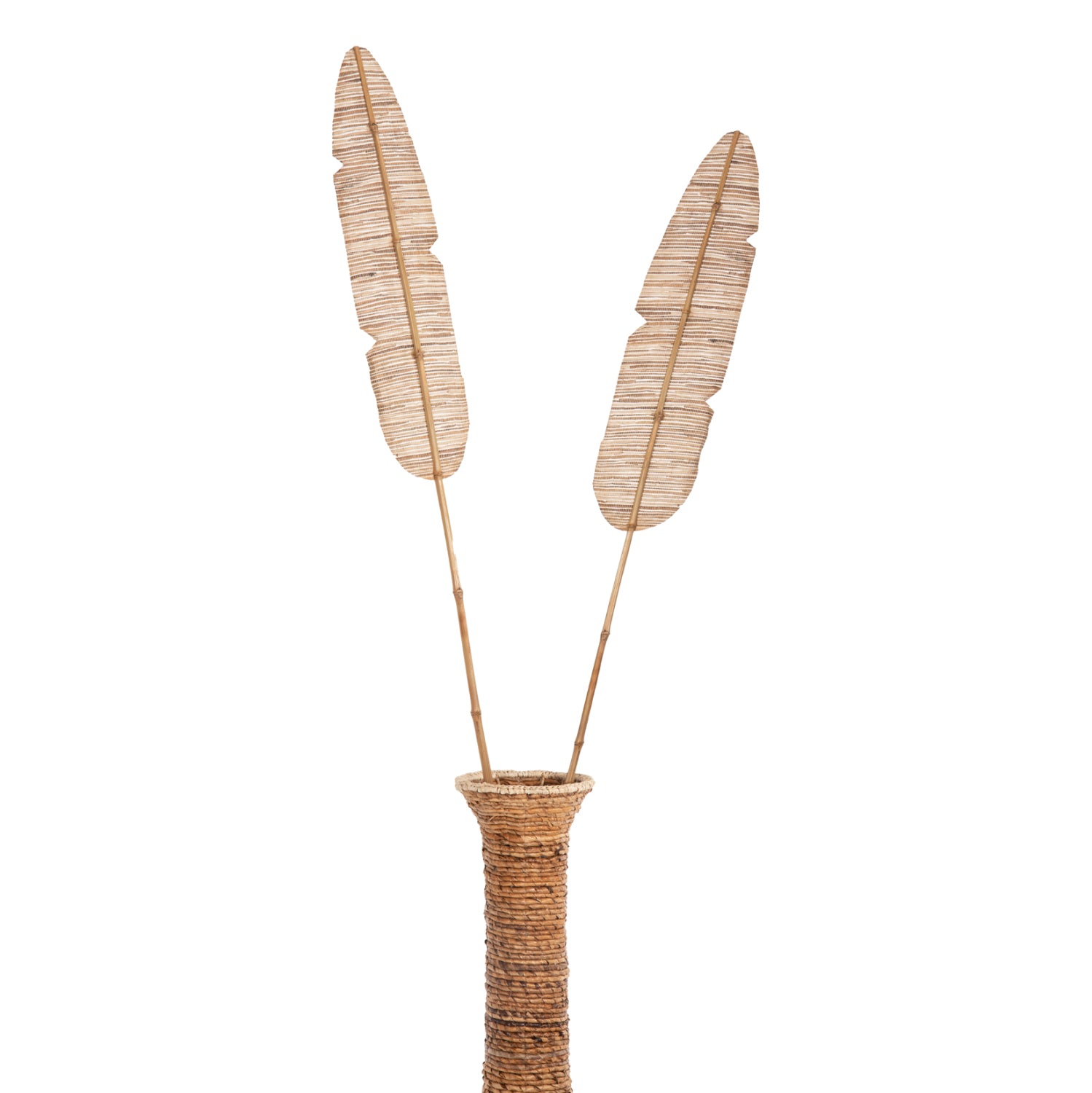 ДЕКОРАТИВЕН ЛИСТ ВОДЕН ХИЦИНТ В ЕСТЕСТВЕН ЦВЯТ 15x200x3см.