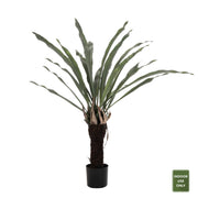 Декоративно синтетично растение Asplenium prolongatum (папрат) в саксия 137Hcm.