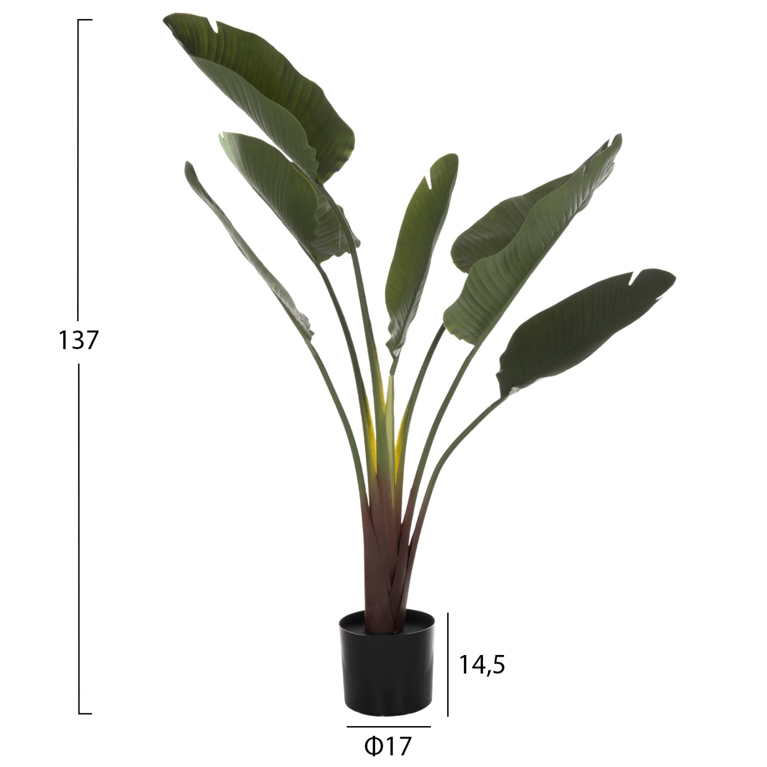 Декоративно синтетично растение в саксия Strelitziaceae Φ17x14,5-137Hcm.
