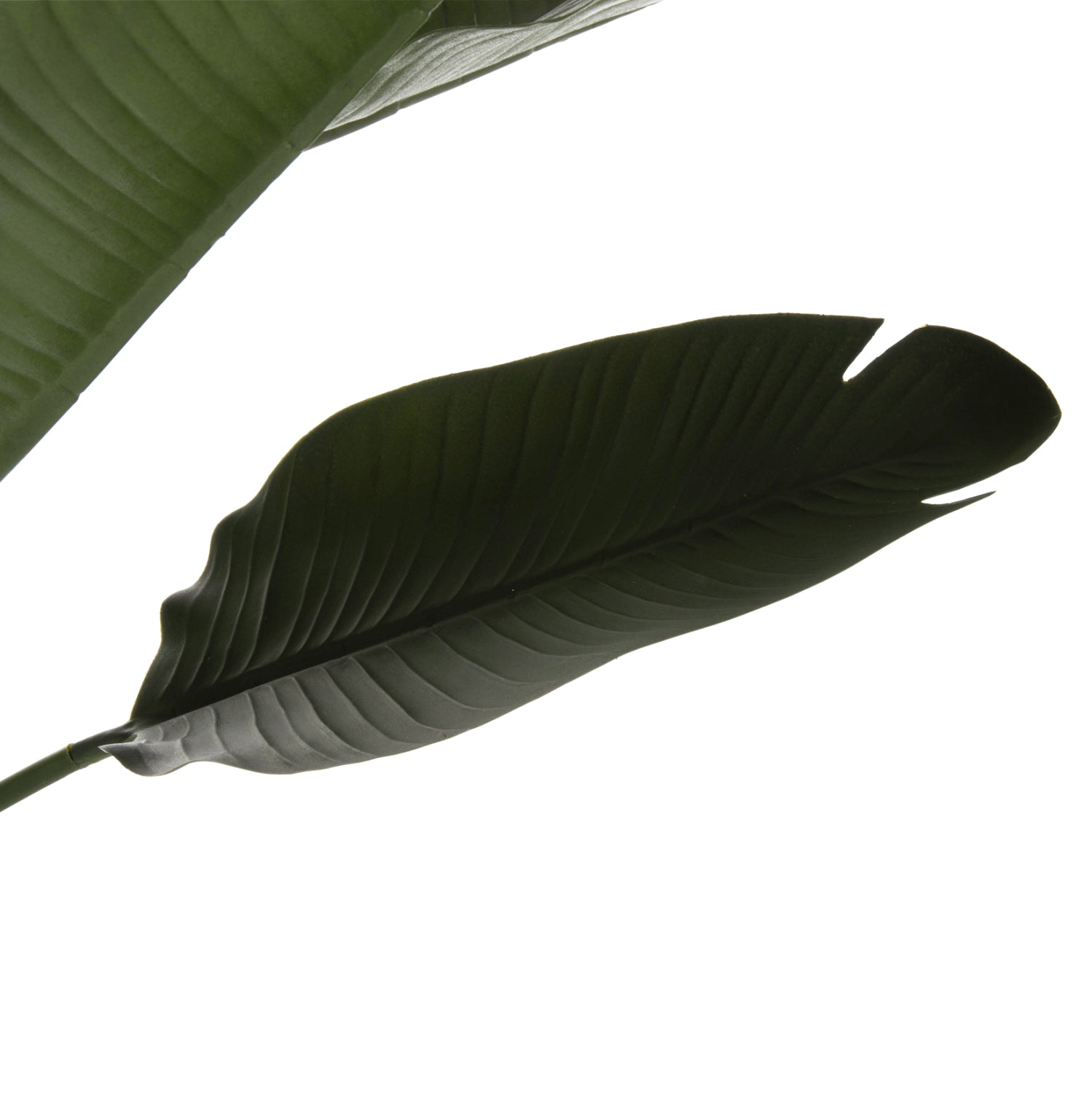 Декоративно синтетично растение в саксия Strelitziaceae Φ17x14,5-137Hcm.