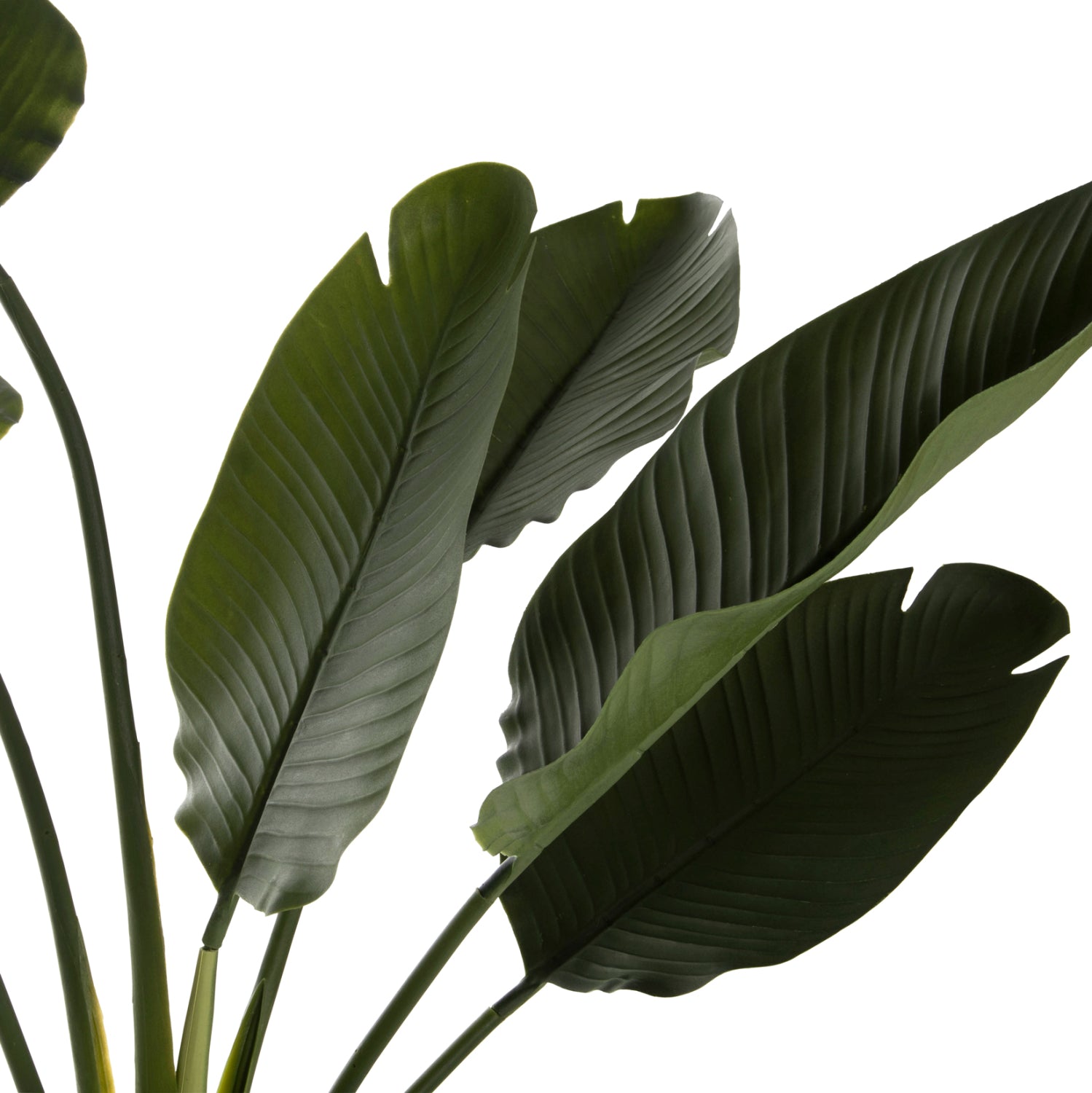 Декоративно синтетично растение в саксия Strelitziaceae Φ17x14,5-137Hcm.