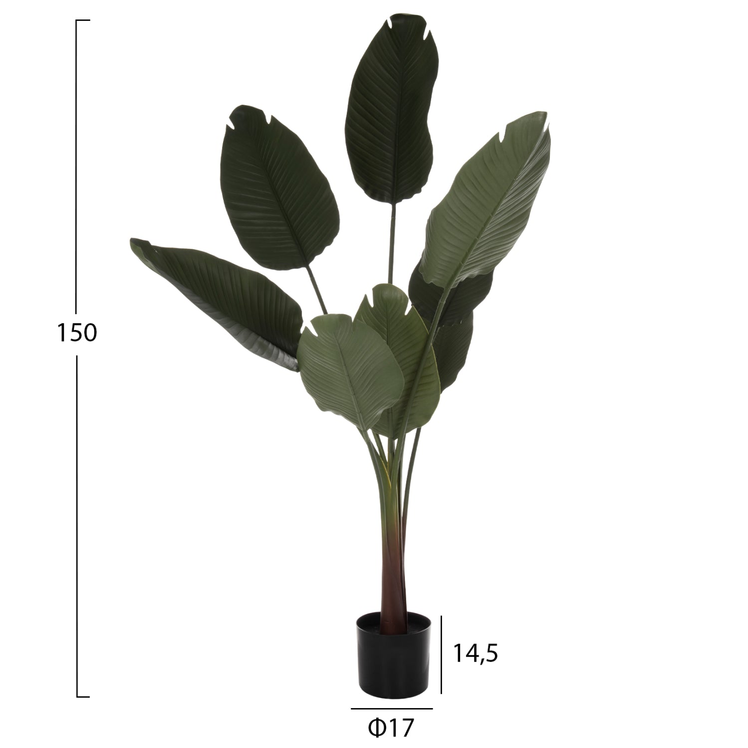 Декоративно синтетично растение в саксия Strelitziaceae Φ17x14,5-150Hcm.