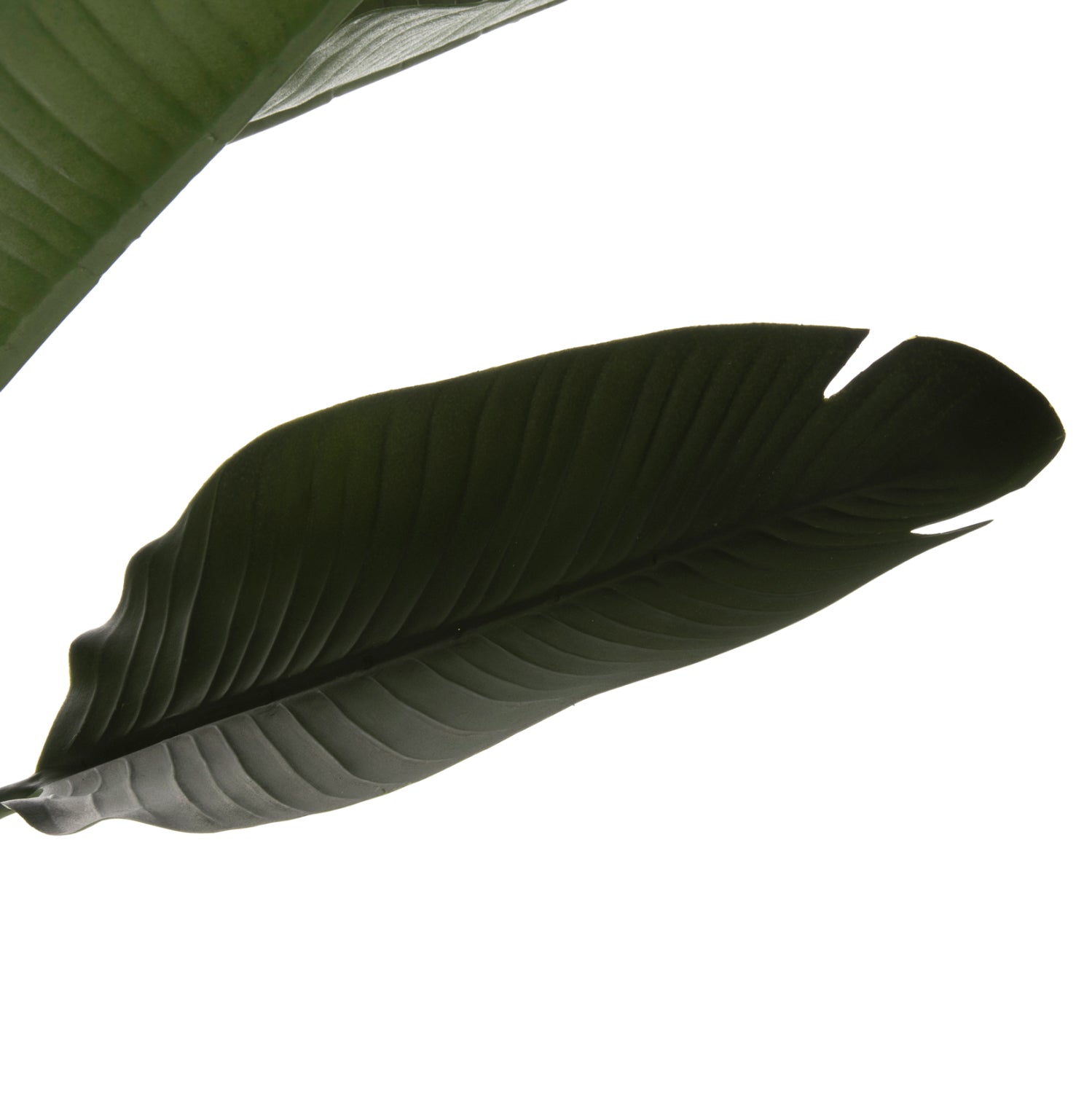 Декоративно синтетично растение в саксия Strelitziaceae Φ17x14,5-150Hcm.