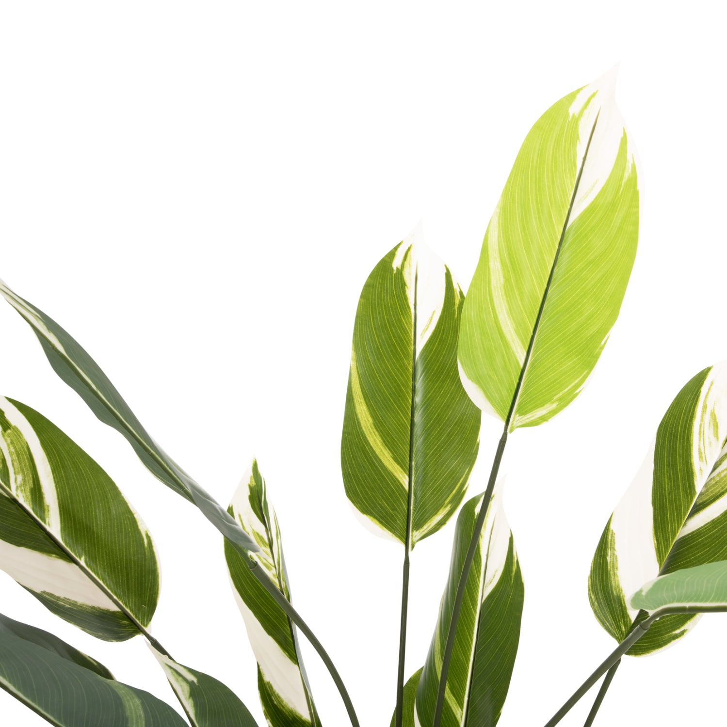 ДЕКОРАТИВНО СИНТЕТИЧНО РАСТЕНИЕ В САКСИЯ CALATHEA 140Hсм.