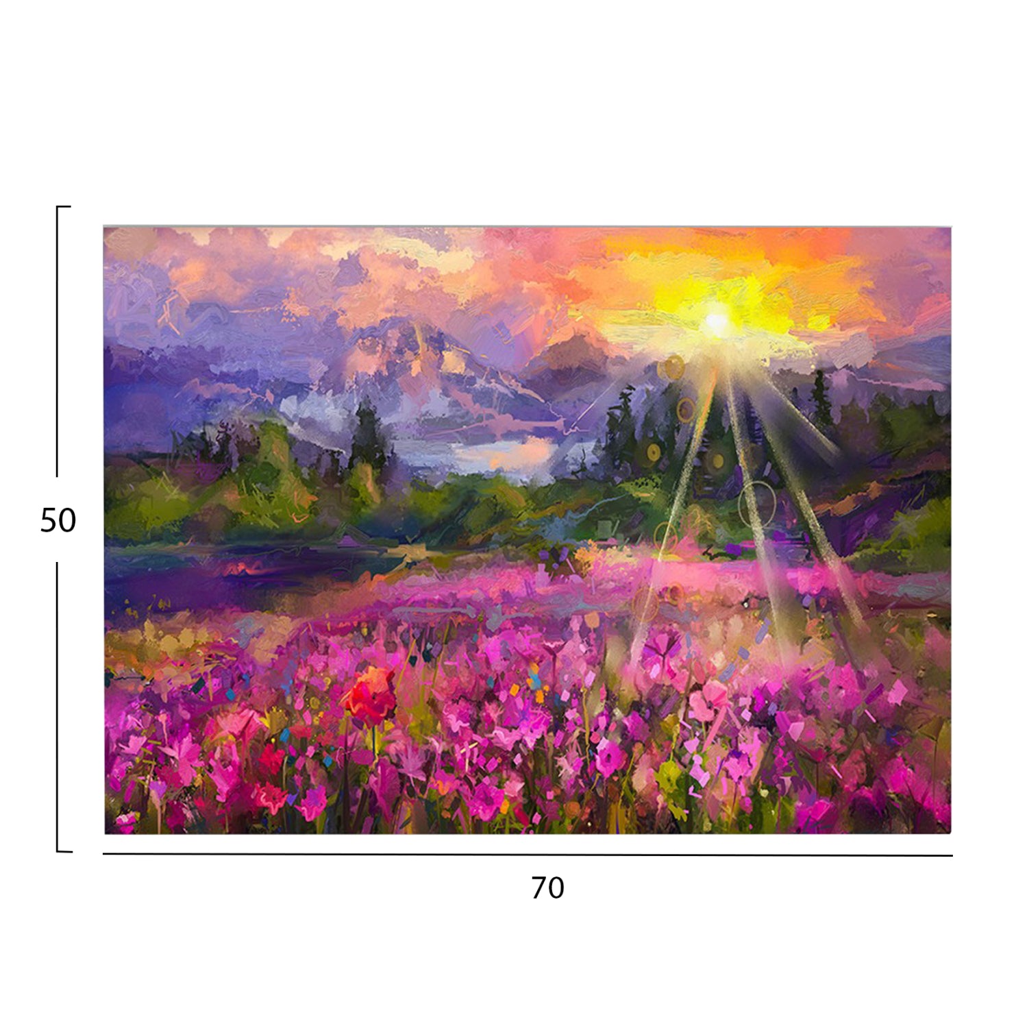 СТЕННА КАРТИНА СЕРИЯ GOBI ПЕЧАТАН КАНВАС 70x3(дебелина)x50Всм.